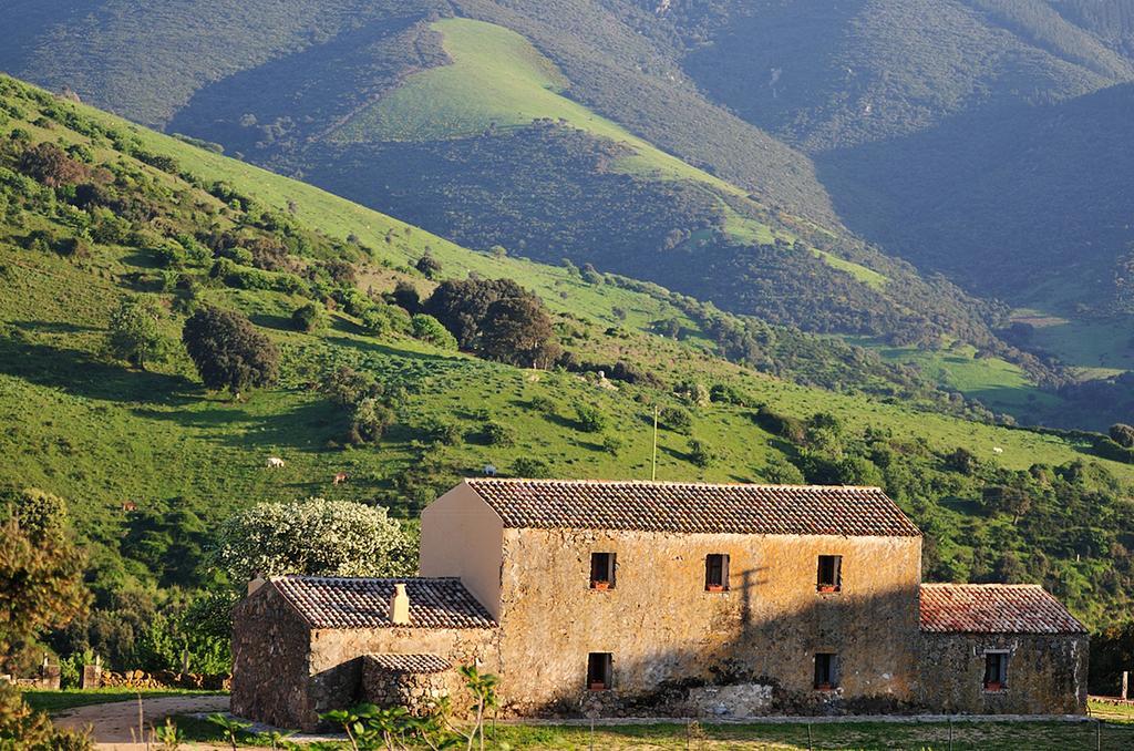 Stazzu Coiga Villa Aggius Exterior photo