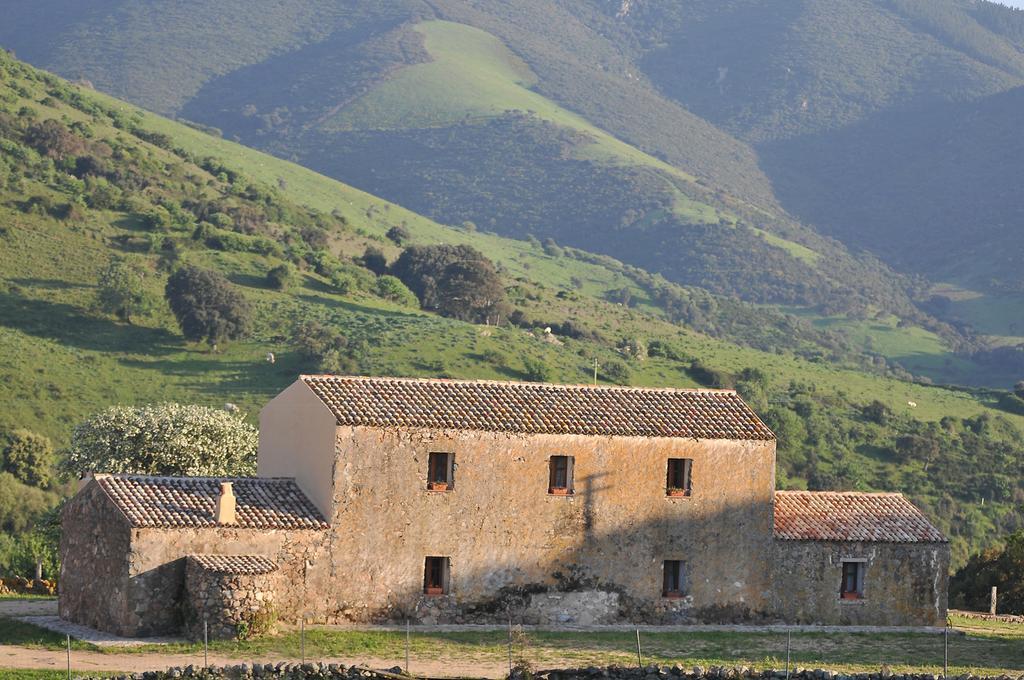 Stazzu Coiga Villa Aggius Exterior photo